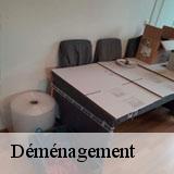 Déménagement