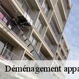 Déménagement appartement