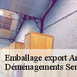 Emballage export