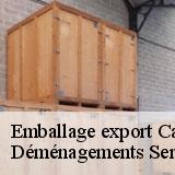 Emballage export