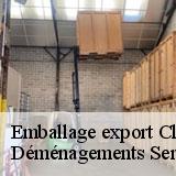 Emballage export