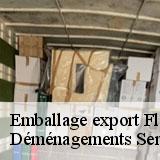 Emballage export