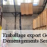 Emballage export