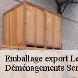 Emballage export